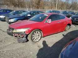 Honda salvage cars for sale: 2008 Honda Accord EXL