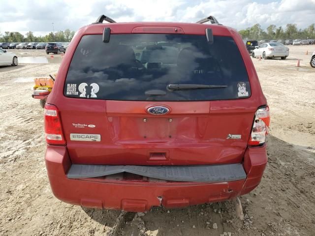 2011 Ford Escape XLT