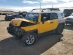 2007 Toyota FJ Cruiser