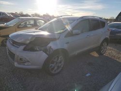 Ford salvage cars for sale: 2014 Ford Escape Titanium