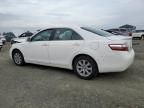 2007 Toyota Camry Hybrid