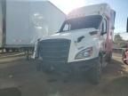 2020 Freightliner Cascadia 126