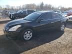 2010 Nissan Altima Base