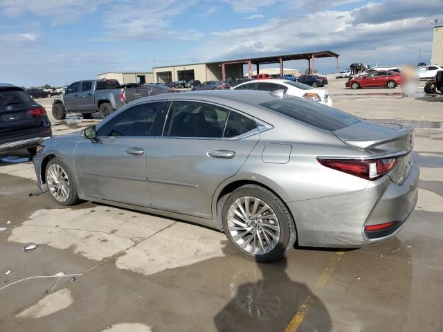 2019 Lexus ES 300H