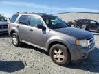 2009 Ford Escape XLT