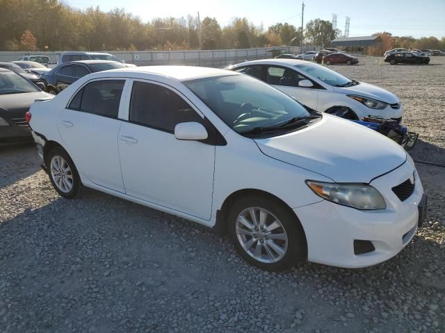 2009 Toyota Corolla Base