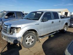 Salvage cars for sale at Brighton, CO auction: 2010 Ford F150 Supercrew