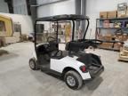 2024 Ezgo Golf Cart