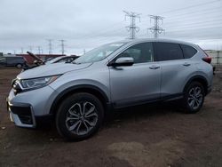 Salvage cars for sale at Elgin, IL auction: 2022 Honda CR-V EX