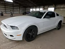 Salvage cars for sale at Phoenix, AZ auction: 2013 Ford Mustang