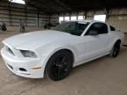 2013 Ford Mustang