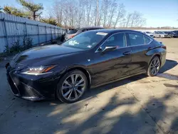 Lexus Vehiculos salvage en venta: 2019 Lexus ES 350