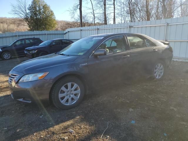 2009 Toyota Camry Hybrid