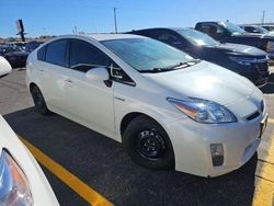 Salvage cars for sale at Albuquerque, NM auction: 2010 Toyota Prius