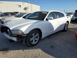 Dodge salvage cars for sale: 2013 Dodge Charger SE