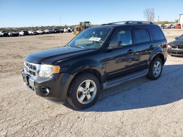 2011 Ford Escape Limited