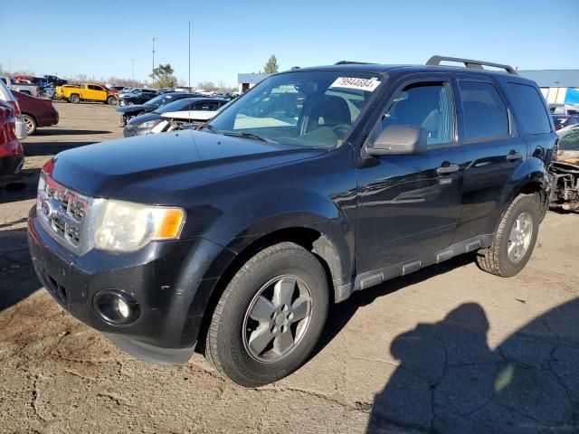 2010 Ford Escape XLT