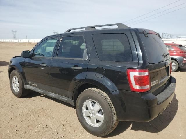 2010 Ford Escape XLT