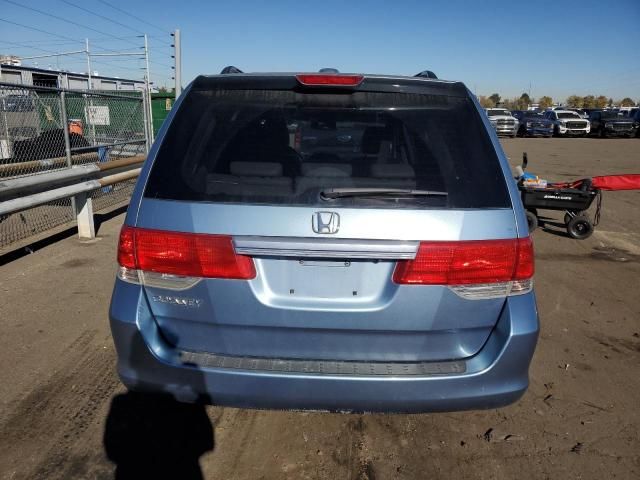 2008 Honda Odyssey EXL