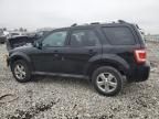 2010 Ford Escape Limited