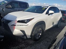 Lexus salvage cars for sale: 2021 Lexus NX 300H Base