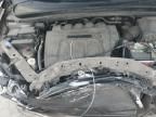 2006 Honda Odyssey EXL