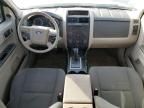 2010 Ford Escape XLS