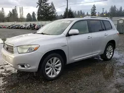 Flood-damaged cars for sale at auction: 2008 Toyota Highlander Hybrid Limited