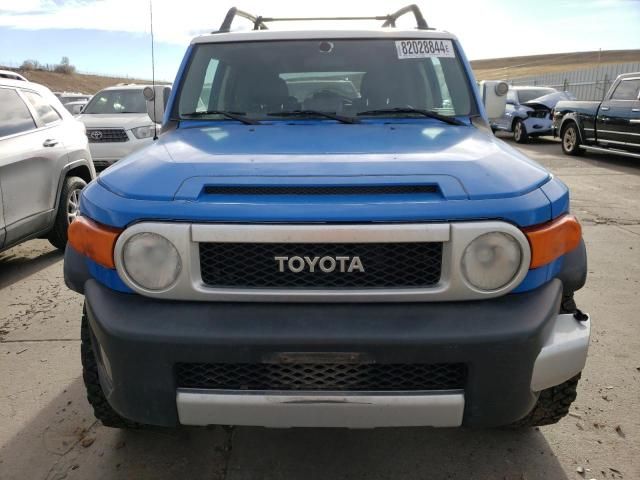 2007 Toyota FJ Cruiser