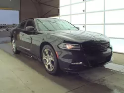 Salvage cars for sale at Columbus, OH auction: 2016 Dodge Charger SXT