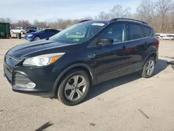 Salvage cars for sale at Ellwood City, PA auction: 2014 Ford Escape SE