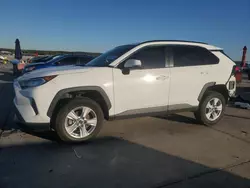 Salvage cars for sale at Grand Prairie, TX auction: 2020 Toyota Rav4 XLE