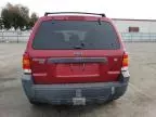 2005 Ford Escape XLT