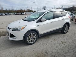 Salvage cars for sale at Bridgeton, MO auction: 2014 Ford Escape Titanium