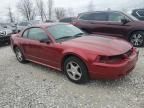 2003 Ford Mustang