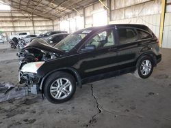 2010 Honda CR-V EX en venta en Phoenix, AZ