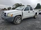 2007 Dodge Dakota Quattro