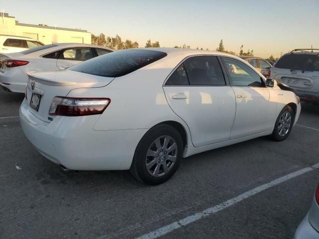 2009 Toyota Camry Hybrid