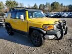 2007 Toyota FJ Cruiser