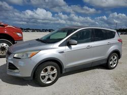 Ford Vehiculos salvage en venta: 2013 Ford Escape SE