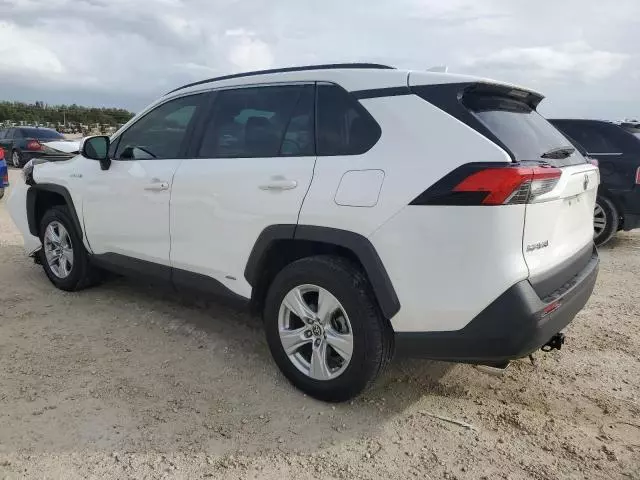 2020 Toyota Rav4 XLE