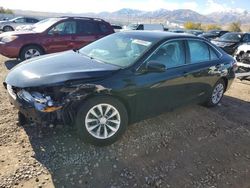 Toyota salvage cars for sale: 2016 Toyota Camry LE