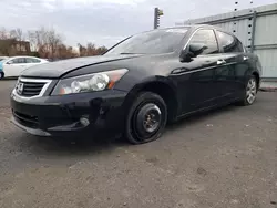 Honda Accord exl salvage cars for sale: 2010 Honda Accord EXL