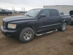 Vehiculos salvage en venta de Copart Rocky View County, AB: 2008 Dodge Dakota SXT