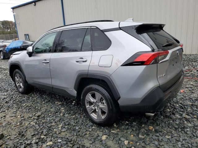 2023 Toyota Rav4 XLE