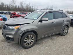 KIA Sorento Vehiculos salvage en venta: 2012 KIA Sorento SX