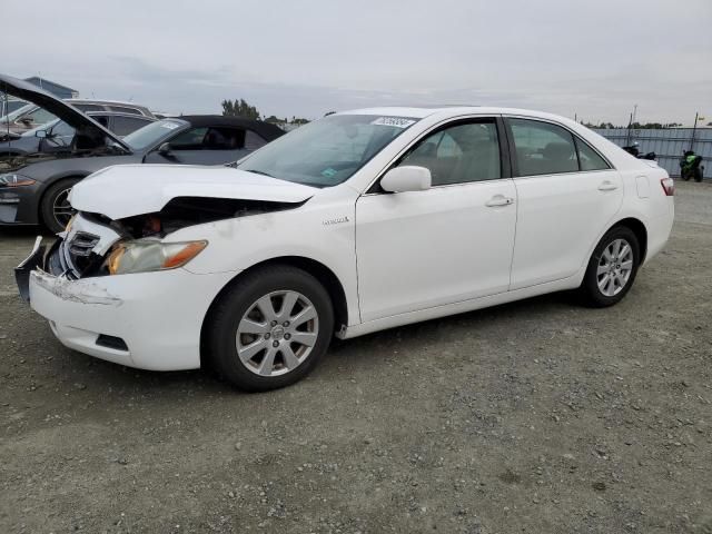 2007 Toyota Camry Hybrid