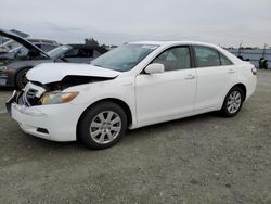 2007 Toyota Camry Hybrid en venta en Antelope, CA