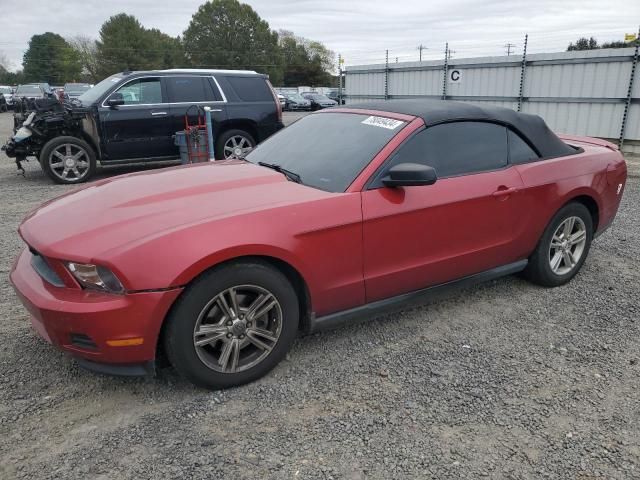 2011 Ford Mustang