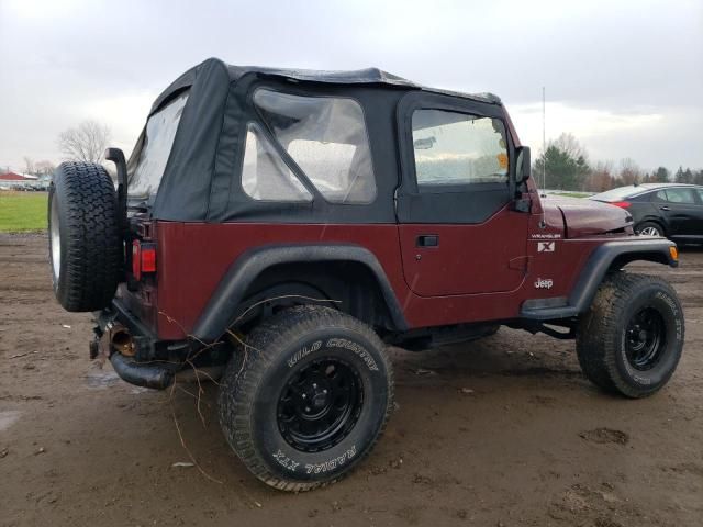 2002 Jeep Wrangler / TJ X